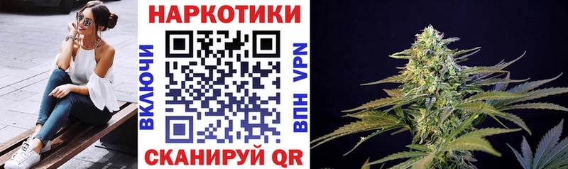 Виды наркотиков купить Черемхово Гашиш  Каннабис  МЕГА ТОР  Галлюциногенные грибы  МЕФ  КЕТАМИН  Кокаин  Метадон 