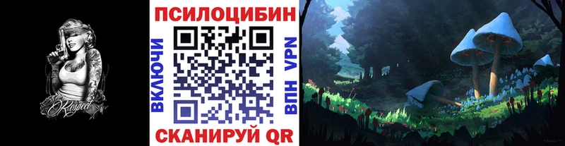 магазин    Черемхово  Галлюциногенные грибы Psilocybine cubensis 